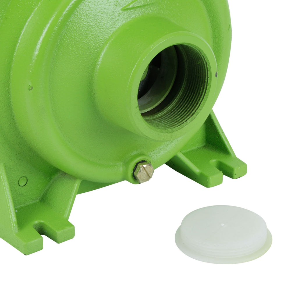 Bomba Centrifuga 2'; 2HP 300L/min BC 620/1/25 FOREST AND GARDEN