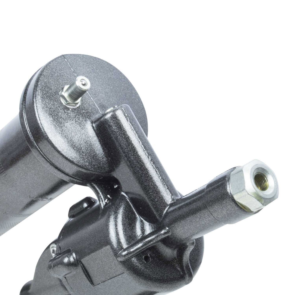 PISTOLA ENGRASE NEUMATICA 0,5 Kg 168601