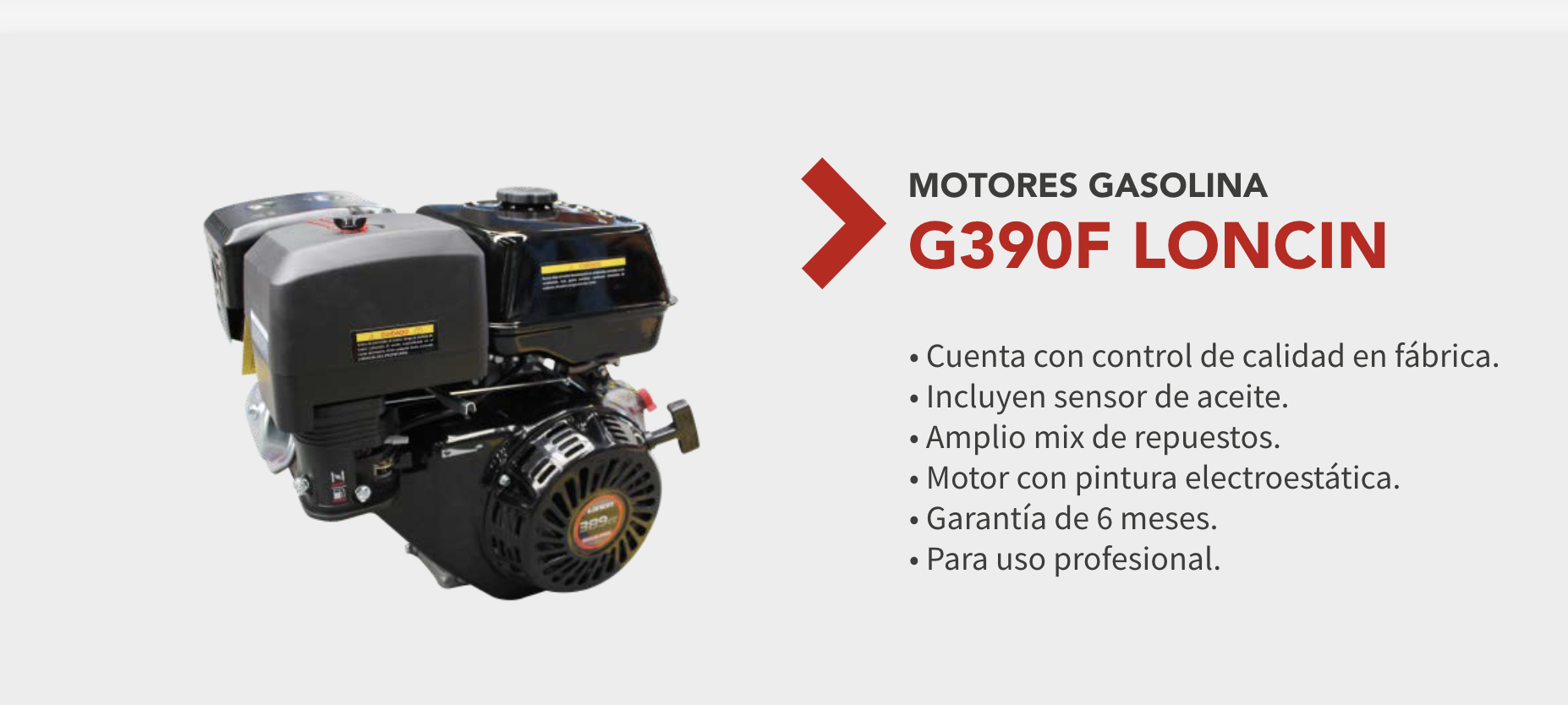 Motor Gasolina 13 HP G390F LONCIN