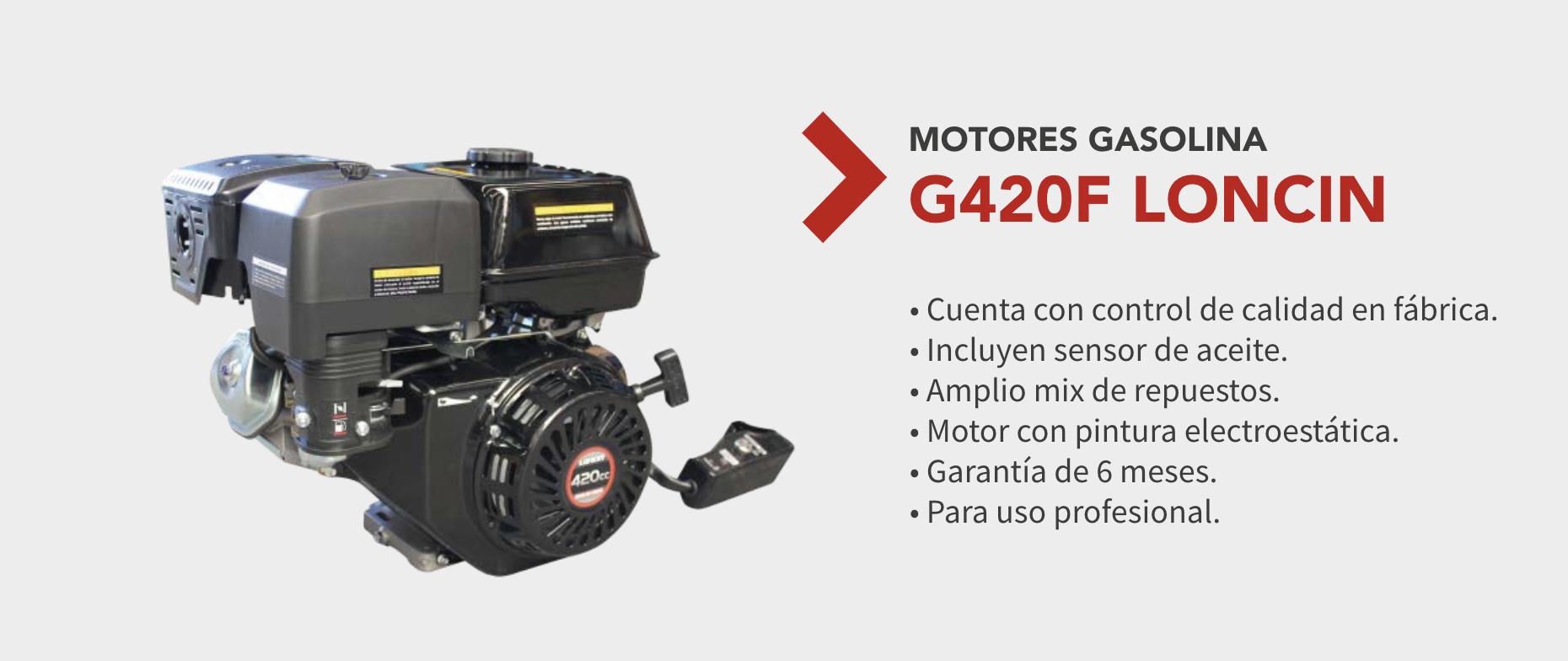 Motor Gasolina 15 HP G420F LONCIN